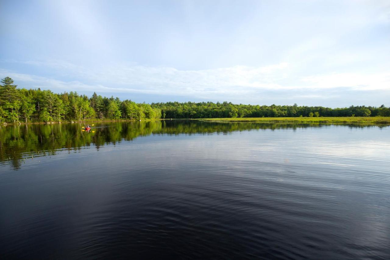 Mersey River Chalets A Nature Retreat Caledonia Kültér fotó