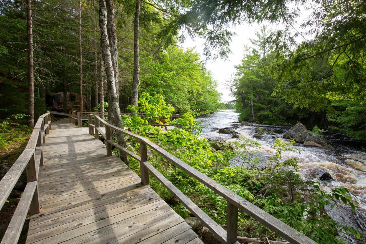 Mersey River Chalets A Nature Retreat Caledonia Kültér fotó