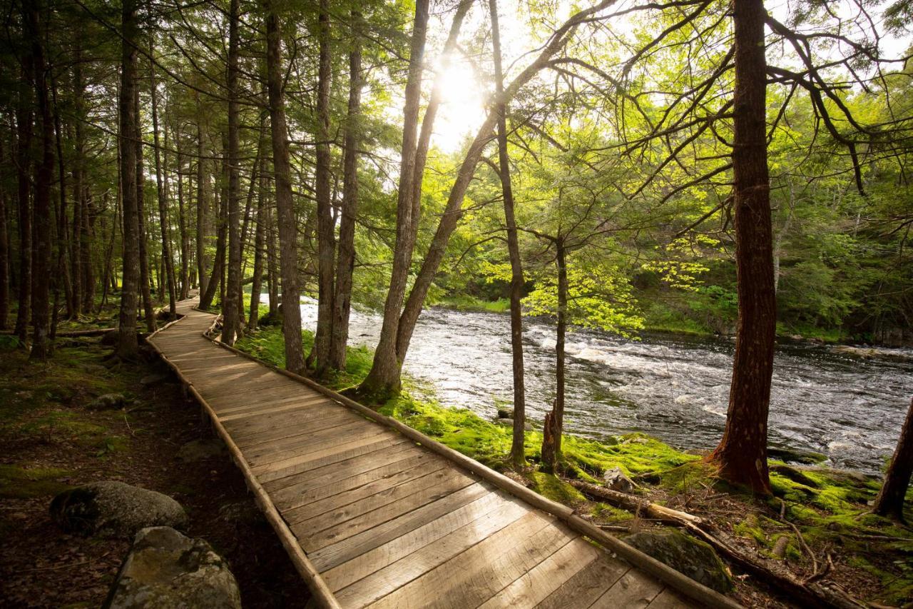Mersey River Chalets A Nature Retreat Caledonia Kültér fotó